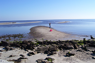 person standing on coastline