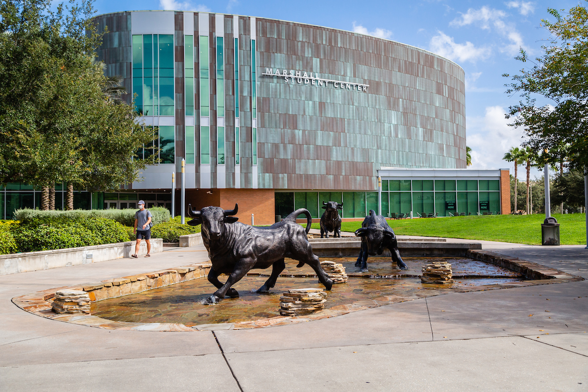 USF Tampa Campus