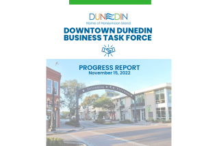 Dunedin Task Force Report cover