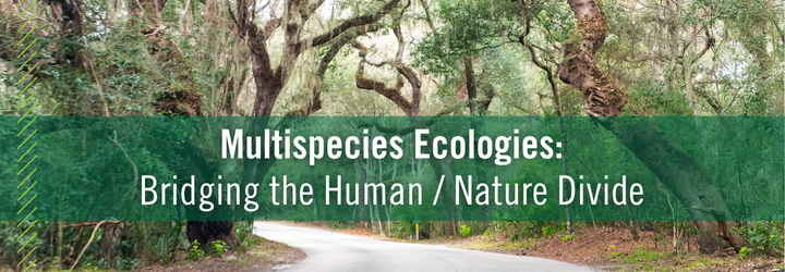 Trees with text reading "Multispecies Ecologies: Bridging the human nature divide"