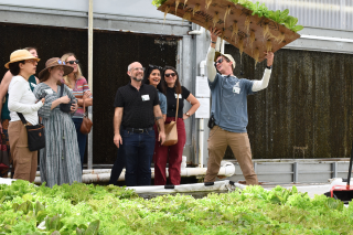 Cohort at Farm