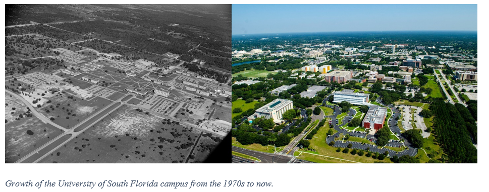 growth of the USF campus from 1970s to now