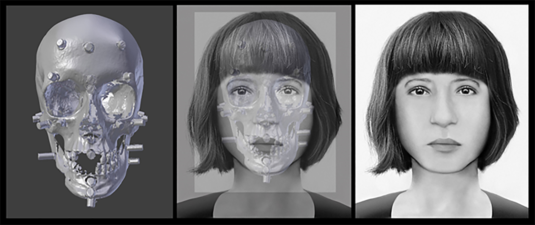 Facial reconstruction drawing of woman