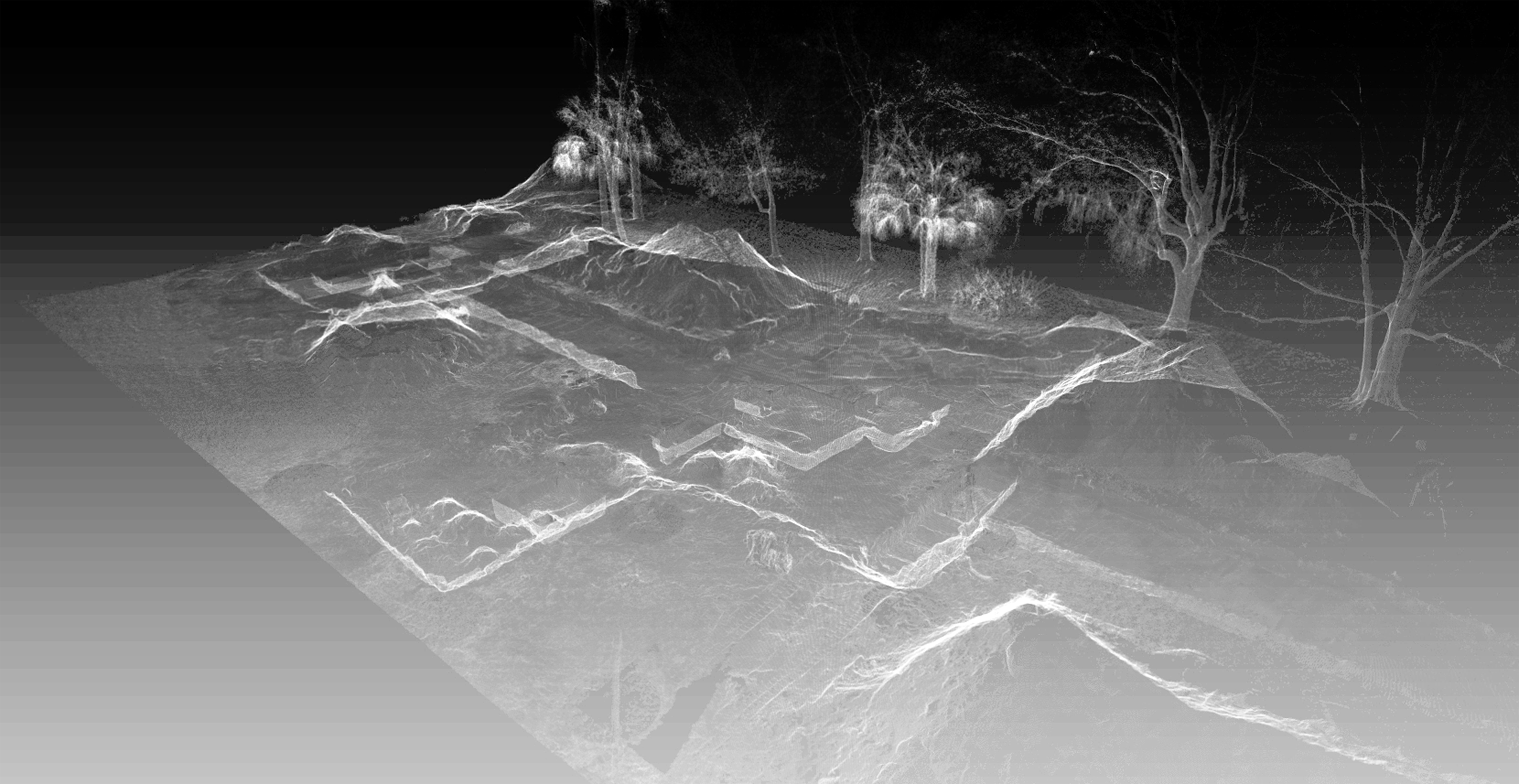 Point cloud visualization of Manatee Mineral Springs archaeological site