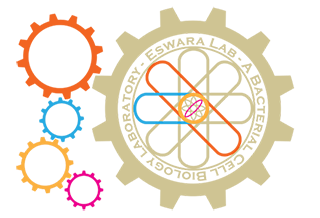 Eswara Lab logo