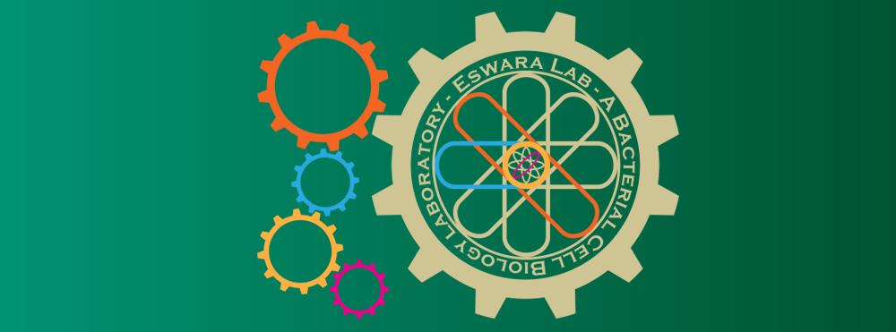 Eswara Lab gears logo