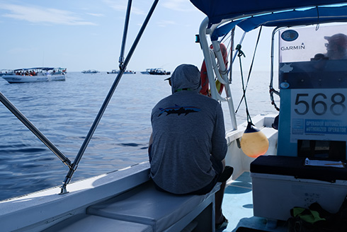 Study co-authors observing whale shark watchers off off Mexico's Yucatán coast [Photo courtesy of Jessie Bujouve]