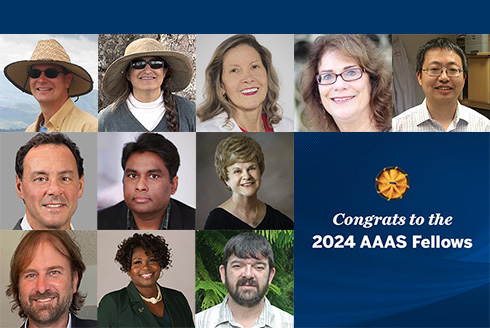 collage of faculty members banner readings Congrats to the 2024 AAAS Fellows