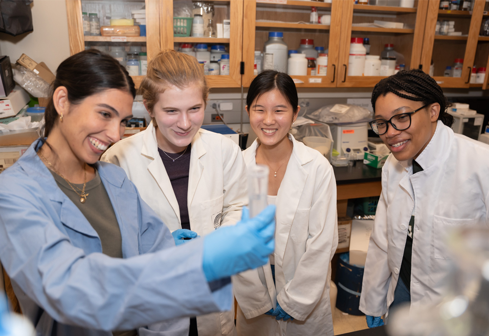 Jaiden Brick, Hannah Kirschenmann, Jade Fei, and Krystal Walford working on their proposal for the Student Spaceflight Experiment Program competition, a national competition allowing groups of interdisciplinary students to combine their areas of expertise. (Photo by Corey Lepak)