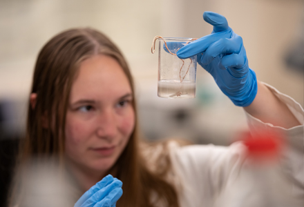 Taylor Carroll, a physical sciences major and astronomy minor, working with a sample for her team’s experiment. (Photo by Corey Lepak)