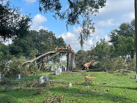Woodlawn Cemetery
