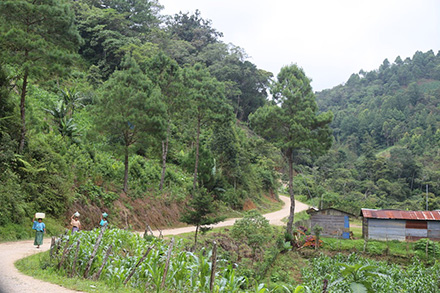 Guatemala