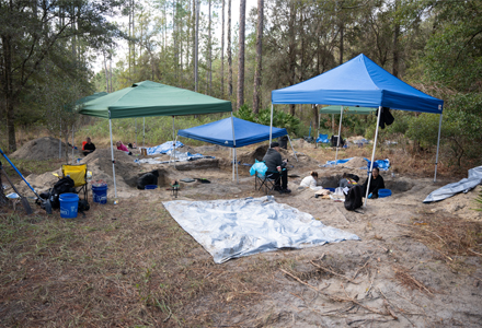 USFFORT (Facility for Outdoor Research & Training), located at the Austin Cary Learning Center in Gainesville, provides workshop participants with the natural conditions of a realworld excavation site. (Photo by Corey Lepak)