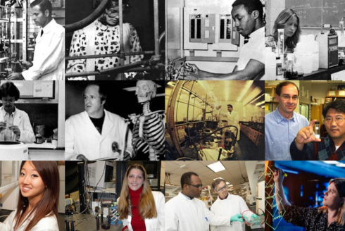 University of South Florida: A Preeminent Research University