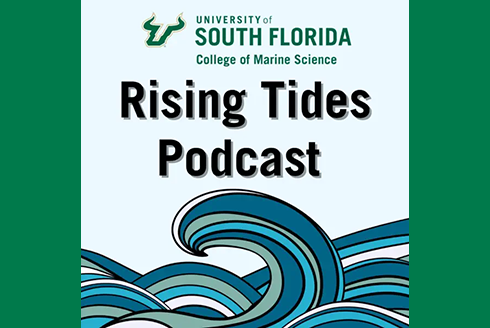 The Rising Tides Podcast banner