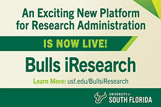 Bulls iResearch