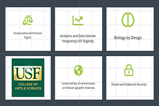 CAS Integration in USF Strategic Areas of Focus