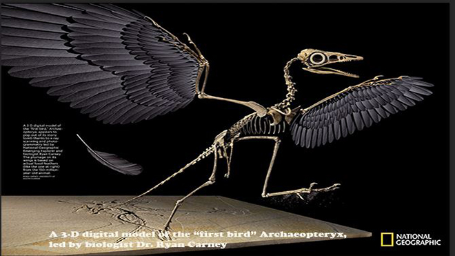 Virtual Dinosaur -- Ryan Carney National Geographic 2018