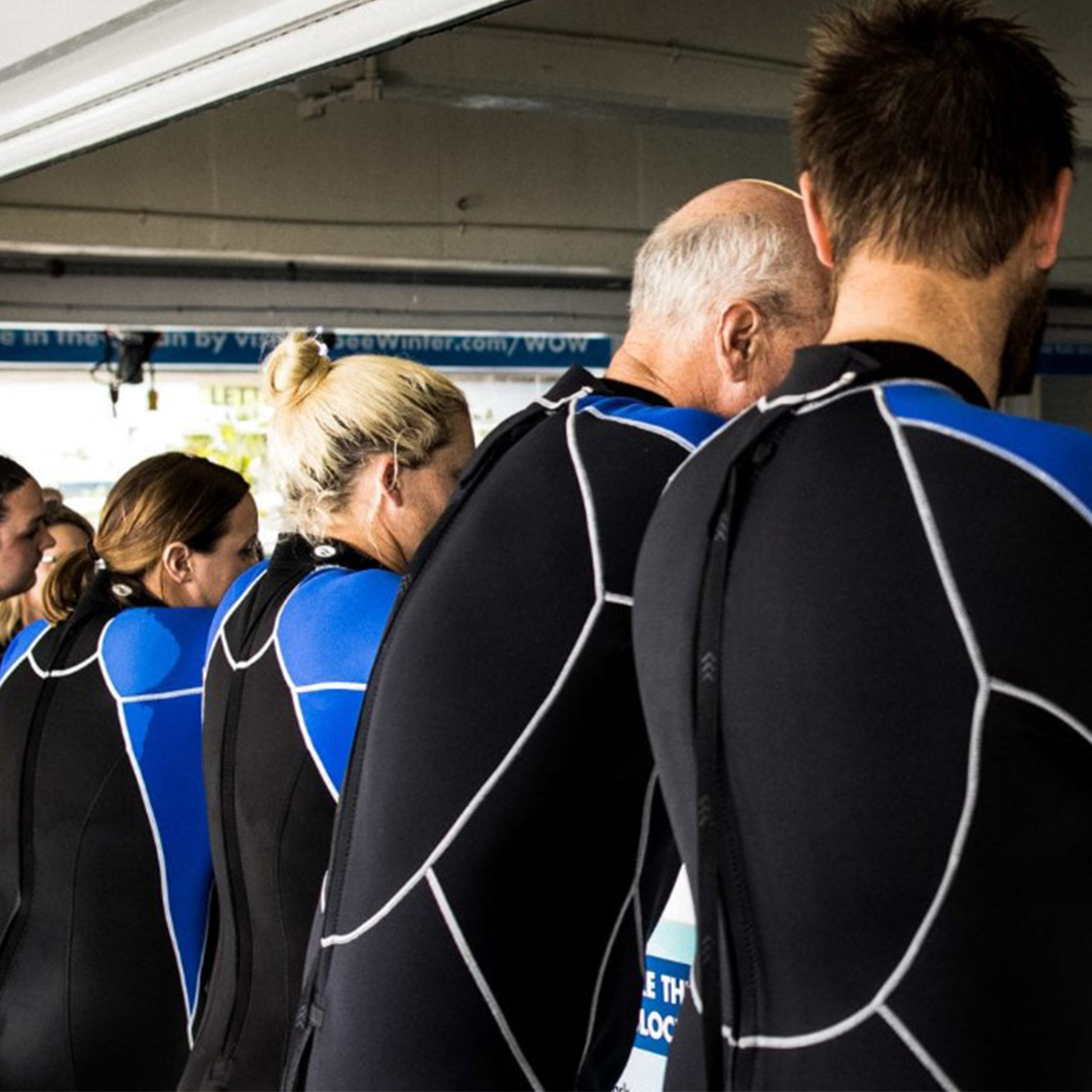 Four members of the Clearwater marine Aquarium are lined up, backs to camera, in their black and blue dive suits. 
