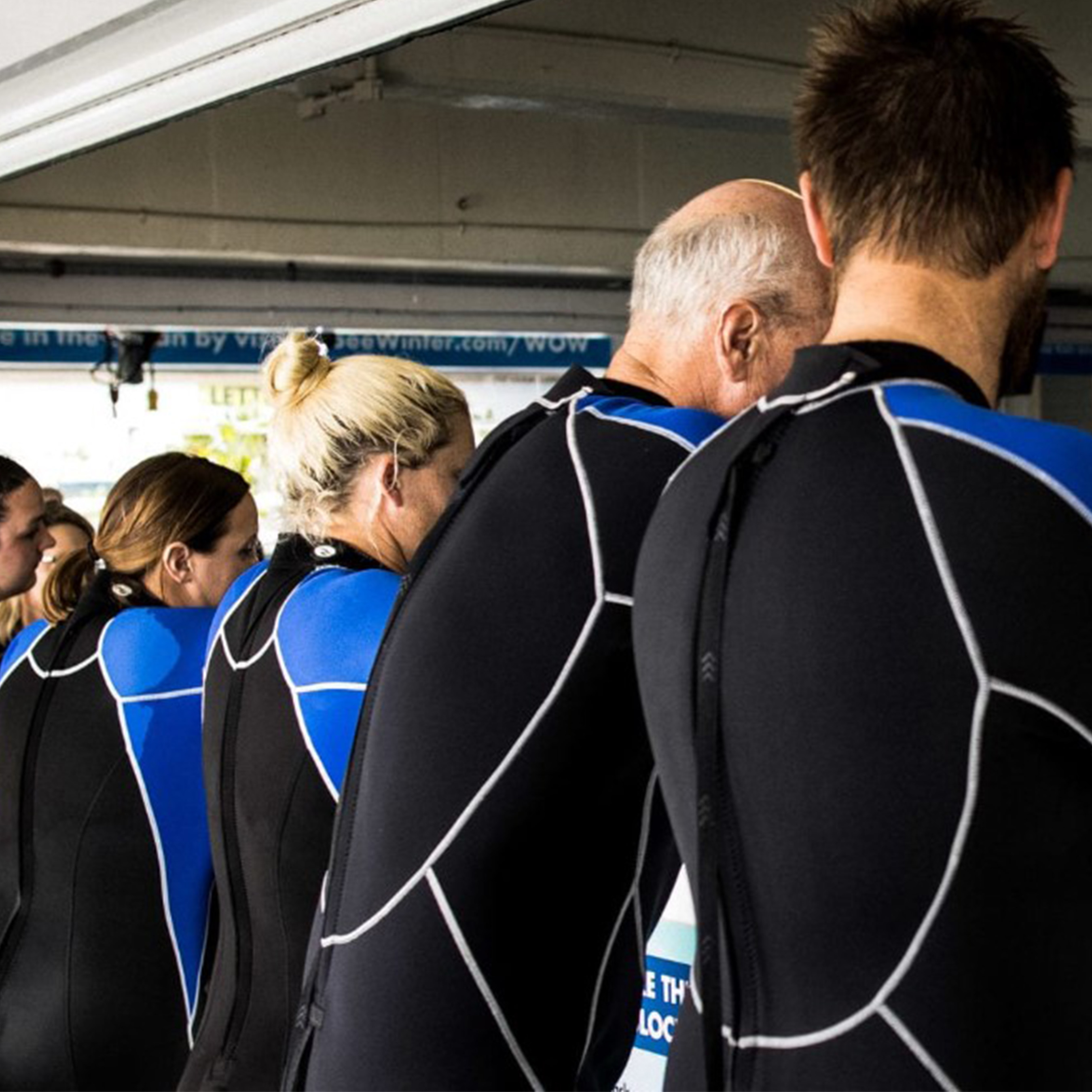 Four members of the Clearwater marine Aquarium are lined up, backs to camera, in their black and blue dive suits.