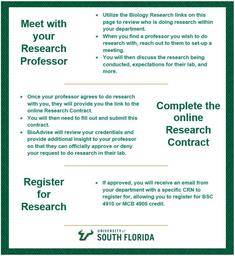 Image outlining the steps for biology research (see transcript below if needed).