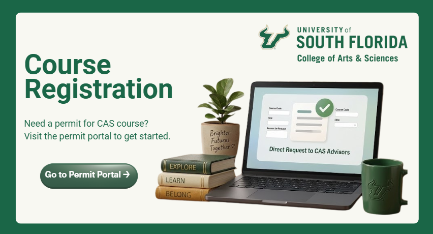 Undergraduate Course Permit Portal for CAS Classes