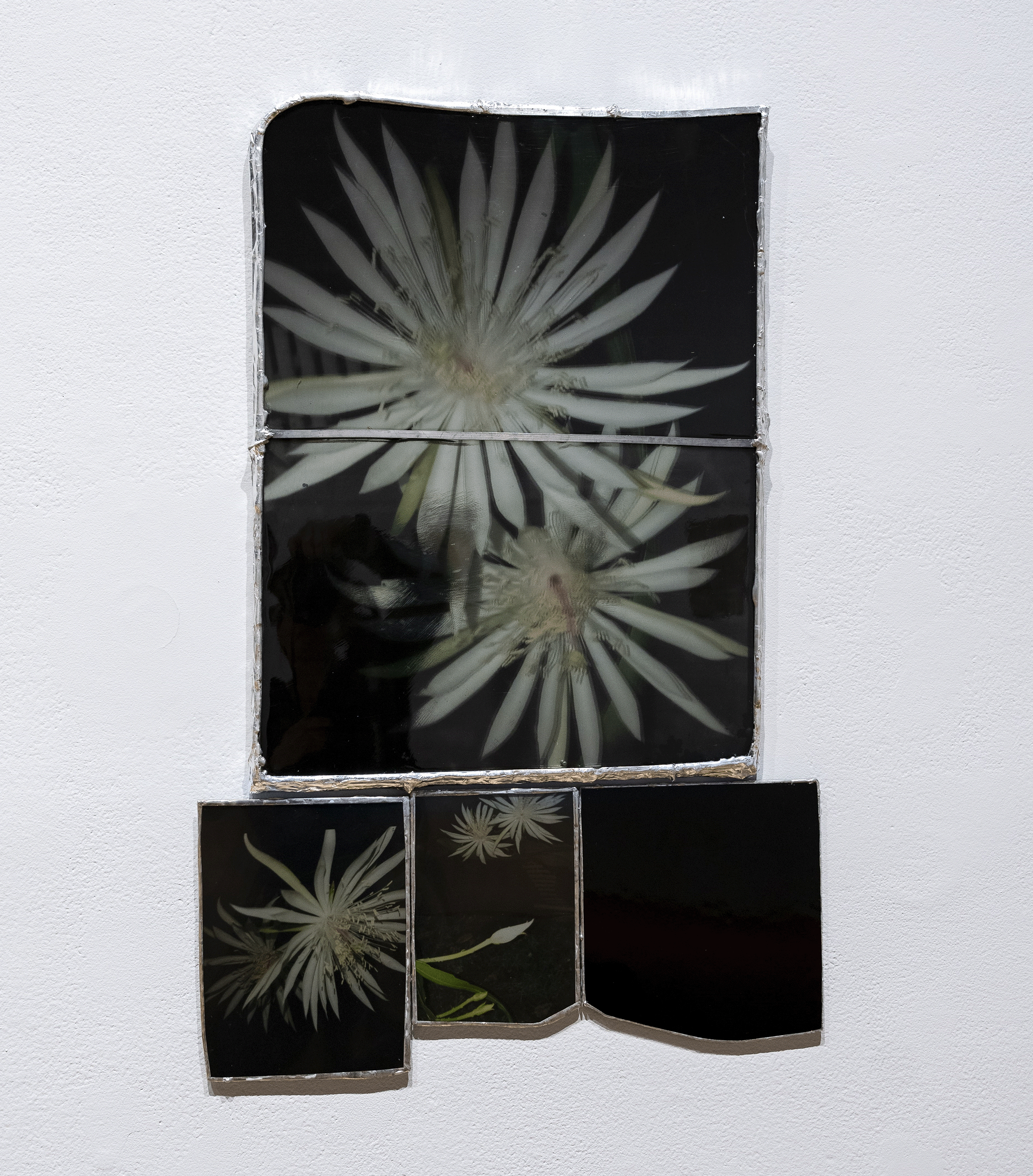  MFA Graduate Amber Toplisek