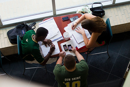 Students studying together.