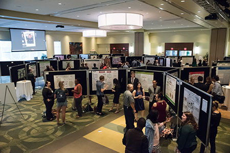 Poster presentations at USF Research Day