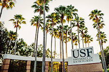 Visit USF - Photo of palm trees behind the entrance sign at the USF Tampa campus.
