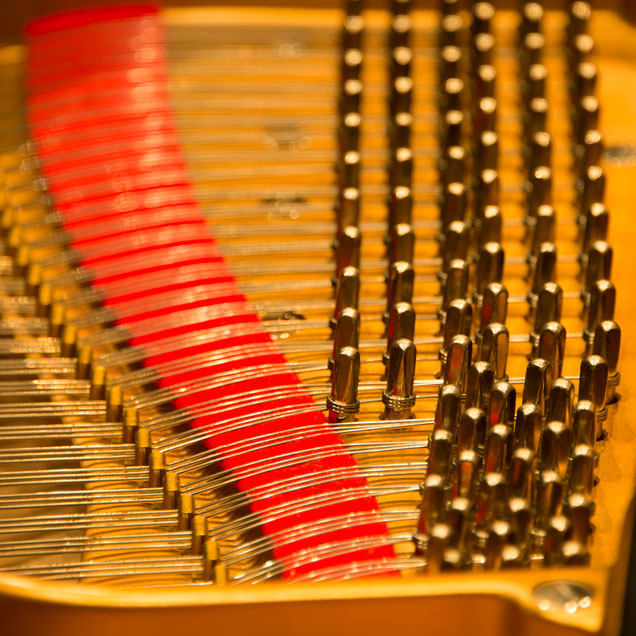 close up instrument