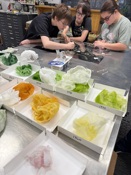 there people working on a pricing plate with green yellow and orange cloths in trays