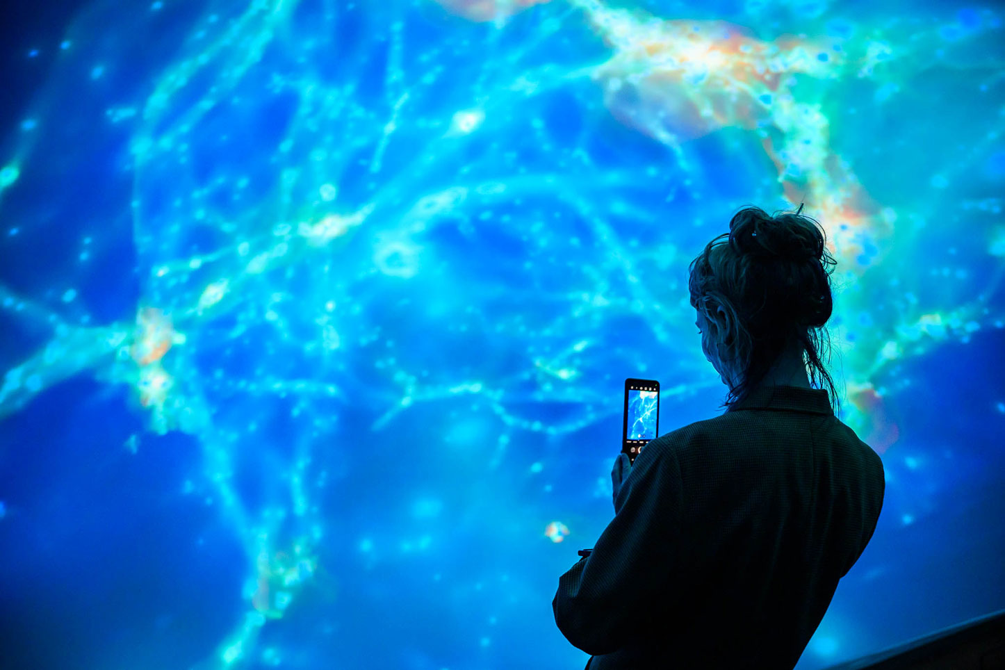 KJ Skidmore, studio art student taking in the large scale projection.