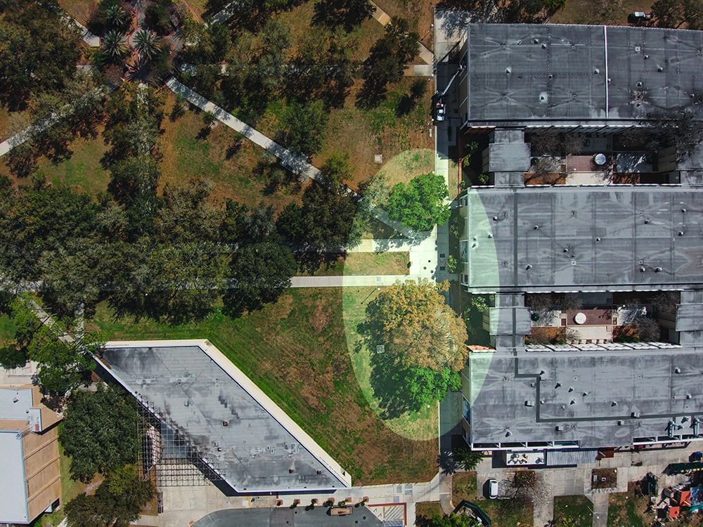overhead view of trees and fine arts building