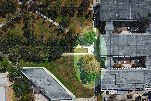 overhead view of trees and fine arts building