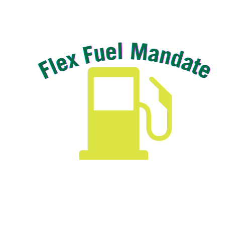 Flex Fuel Log
