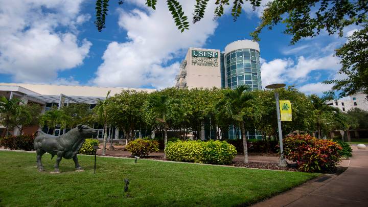 st pete campus