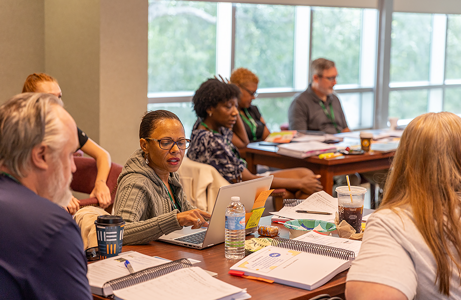 Group receiving Stavros Center training