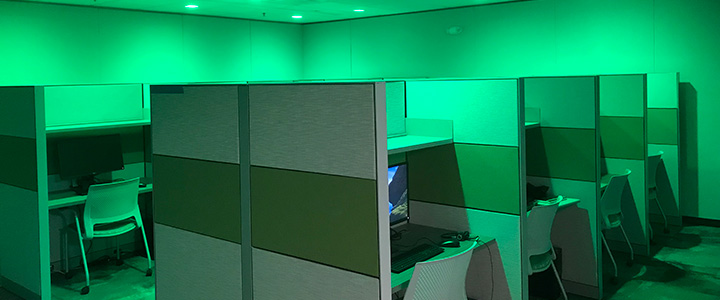 green photo of lab