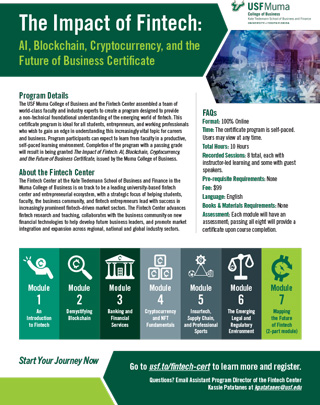 Fintech brochure