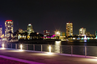 St. Pete Skyline