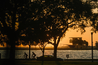 St. Pete Skyline