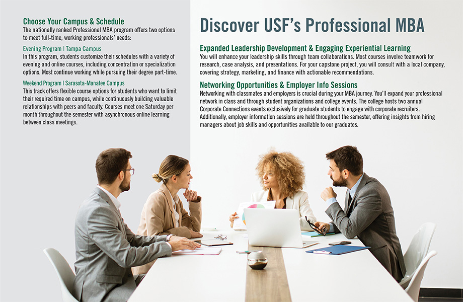 Professional MBA Brochure Cover