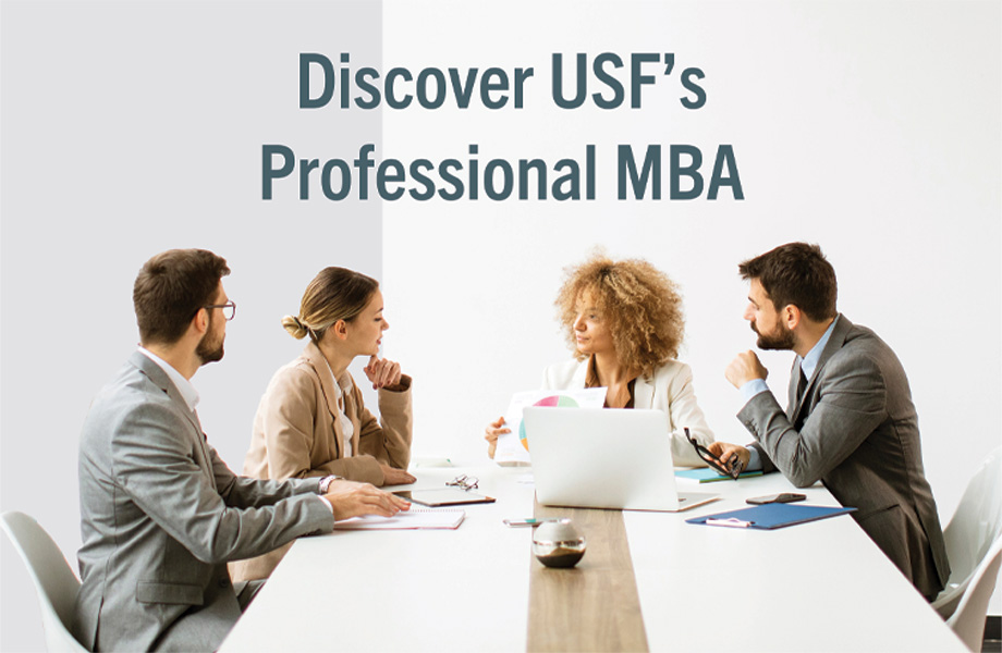 Professional MBA Brochure description graphic