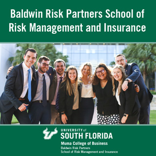 Baldwin Risk Partners flyer