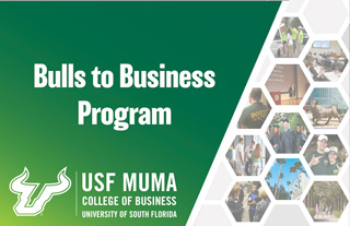 Bulls to Business Brochure