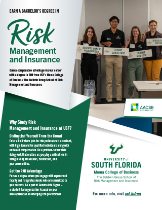 Undergraduate Program Flyer