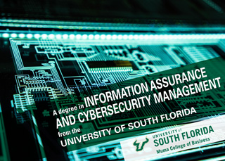 Information Assurance and Cybersecurity Management Brochure