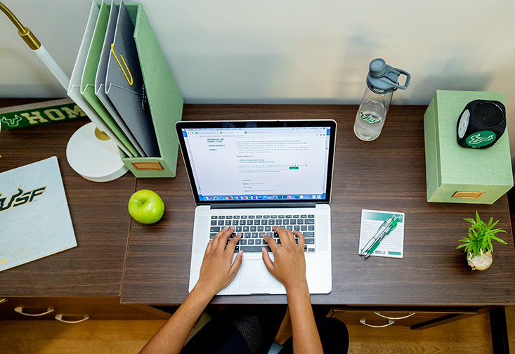 Image of student typing on a computer at a desk.