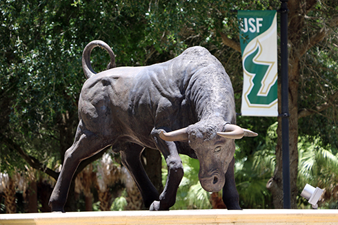 image of usf sarasota manatee campus